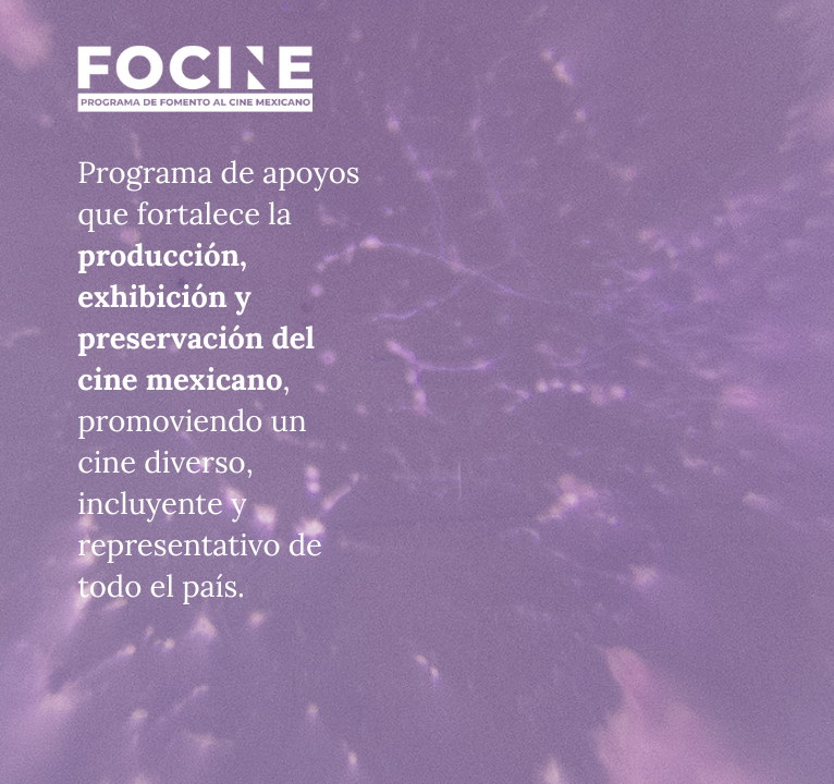 FOCINE_420_x_434_px_766_x_720_px_-20251112232003-9e3e59-20251120193818-d53a7e